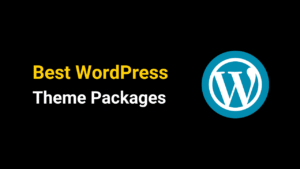 Best WordPress Theme Packages