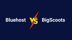 Bluehost Vs BigScoots Hosting