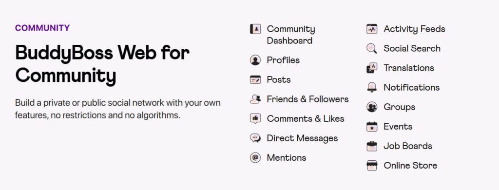 BuddyBoss Web for Community Review 2025