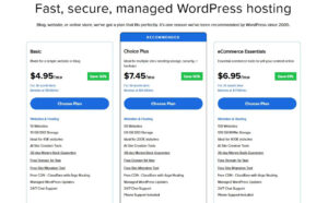 bluehost WordPress hosting pricing review