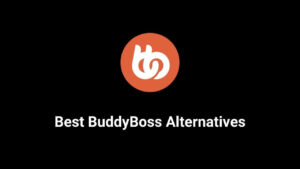 Best BuddyBoss Alternatives 2025
