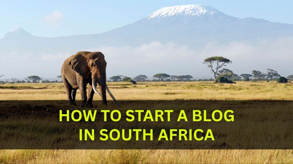 How To Start A Blog in South Africa